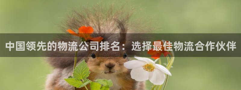 28圈充值不到账：中国领先的物流公司