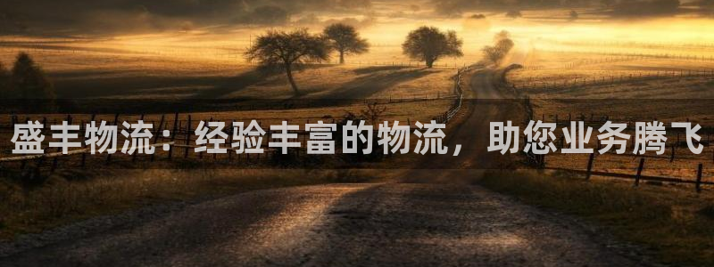 28圈充值不到账怎么办
