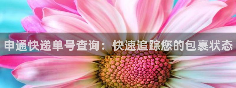 28圈游戏链接