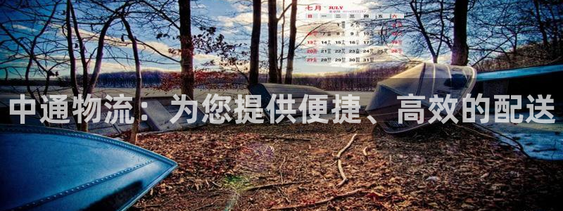 28圈注册教程：中通物流：为您提供便