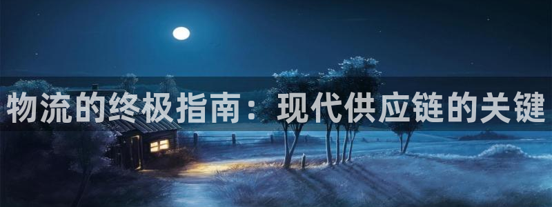 28圈账号注册：物流的终极指南：现代