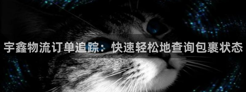 28圈.ccm正版：宇鑫物流订单追踪