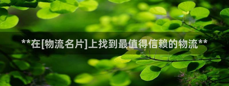 28圈.ccmpc正版