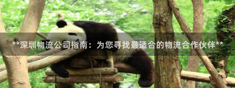 28圈h5链接：**深圳物流公司指南