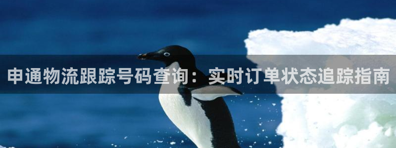 28圈：申通物流跟踪号码查询：实时订