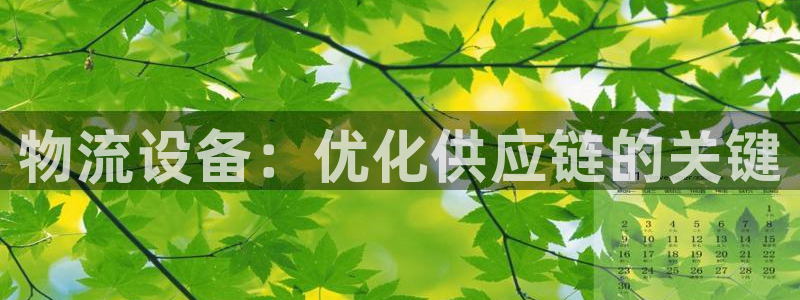 28圈预测加拿大师准：物流设备：优化