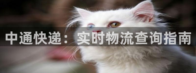 28圈注册链接：中通快递：实时物流查