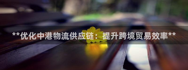 28圈防失联网址：**优化中港物流供