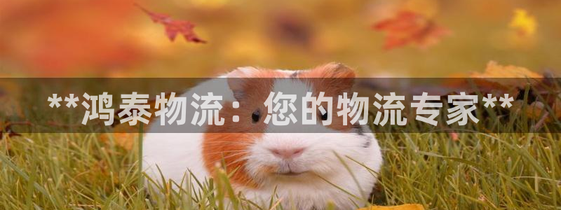 28圈麻将胡了