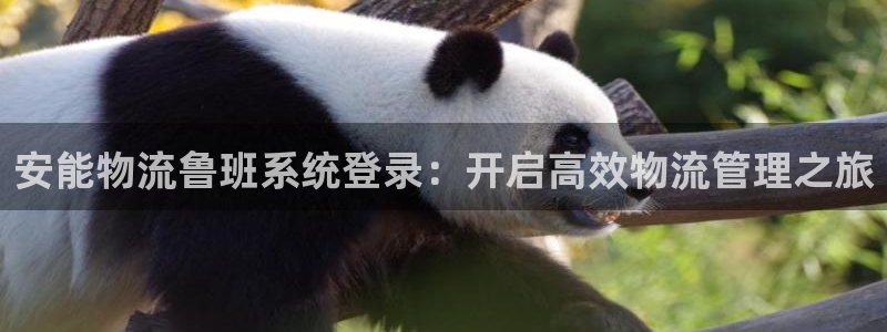28圈app能退款吗：安能物流鲁班系