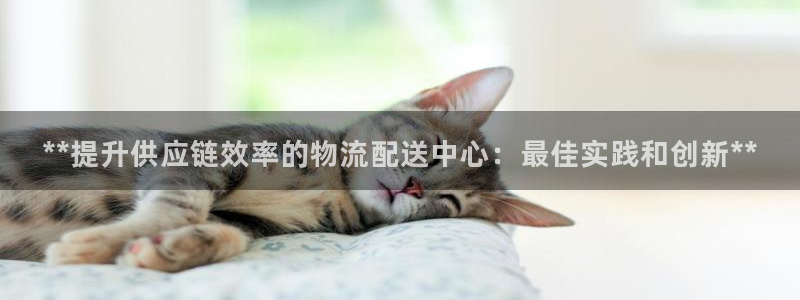 28圈犯法吗：**提升供应链效率的物