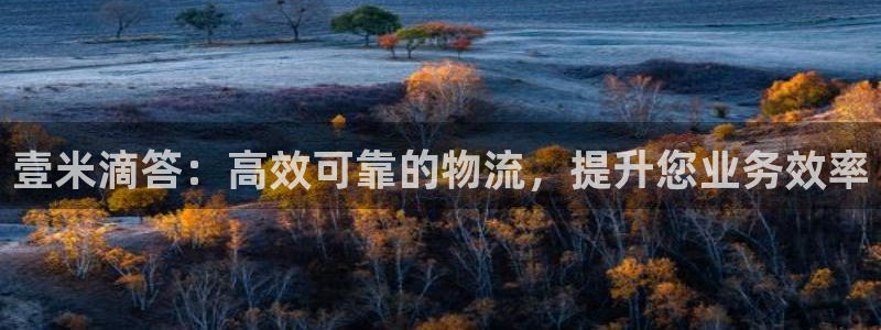 28圈登录用户名登录不上：壹米滴答：