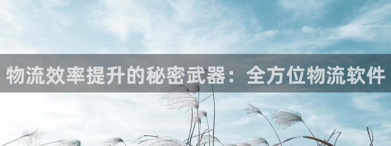28圈官网下载链接是什么网站：物流效