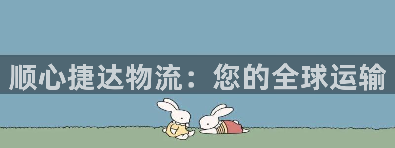 28圈技巧：顺心捷达物流：您的全球运