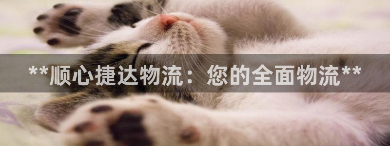 28圈违法吗：**顺心捷达物流：您的