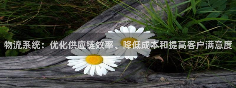 28圈官网版下载：物流系统：优化供应