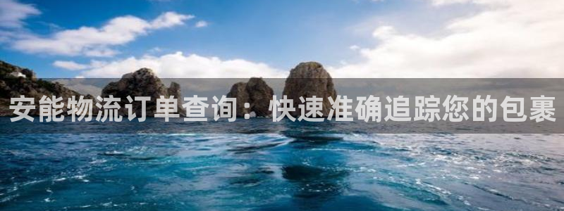 28圈注册链接入口：安能物流订单查询