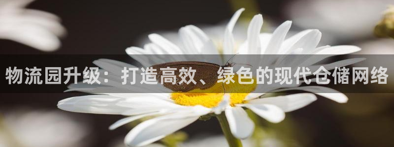 28圈新用户怎么注册：物流园升级：打