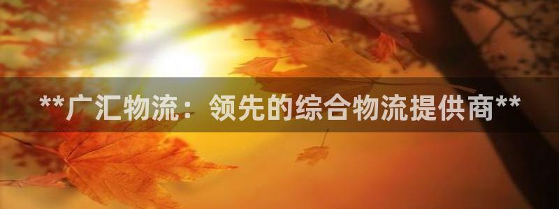 28圈客服电话：**广汇物流：领先的