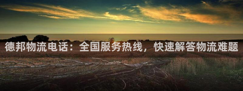 28圈自行车图片：德邦物流电话：全国