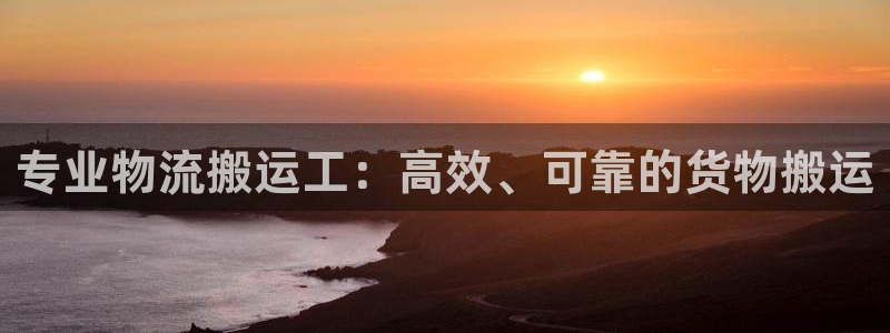加拿大28圈注册链接：专业物流搬运工