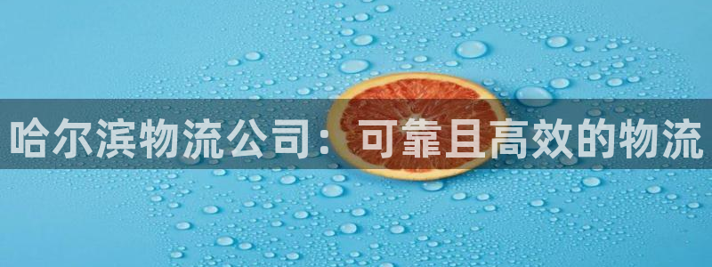 28圈注册链接教程：哈尔滨物流公司：