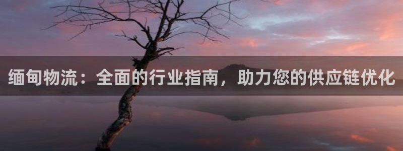 28圈.ccmpc正版
