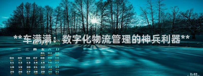 28圈怎么注册账号：**车满满：数字
