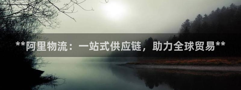 28圈登录用户名登录不上：**阿里物
