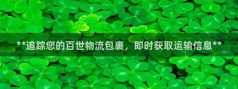 自行车28圈是什么意思：**追踪您的