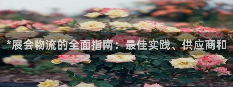 28圈充值不处理