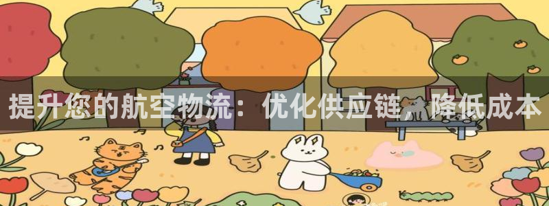 28圈链接：提升您的航空物流：优化供