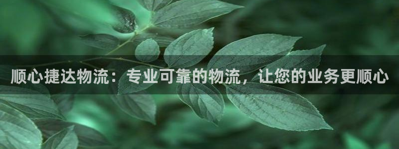 28圈注册上限是啥意思：顺心捷达物流