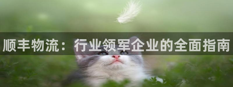 28圈女王中奖记录查询：顺丰物流：行