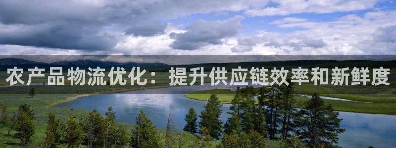 28圈连接：农产品物流优化：提升供应