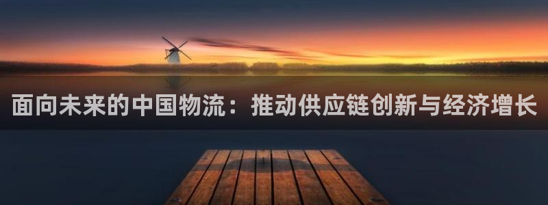 28圈正规吗：面向未来的中国物流：推