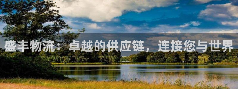 28圈人工客服电话是什么：盛丰物流：卓越的供应链，连接您与世