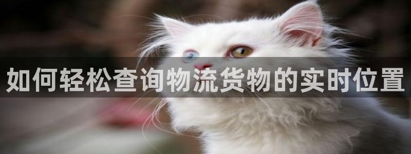 28圈和南宫28什么关系：如何轻松查