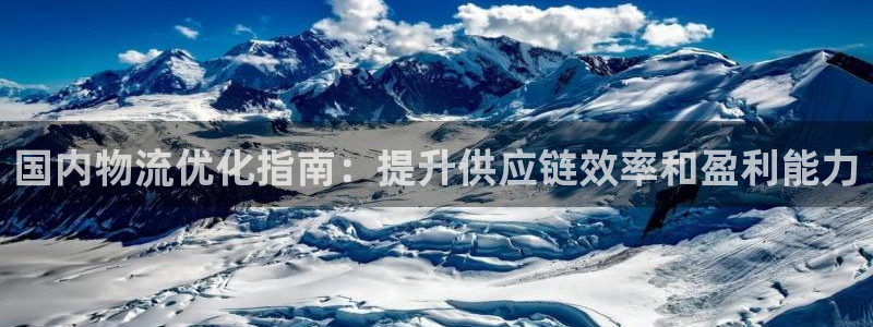 28圈p图上分下款通道：国内物流优化