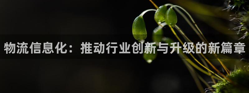 28圈加拿大6.0：物流信息化：推动