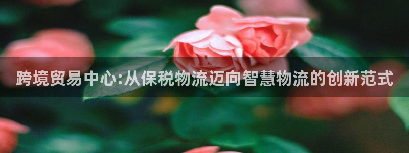 28圈ccm游戏：跨境贸易中心:从保