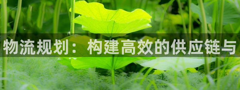 28圈是正规软件吗：物流规划：构建高
