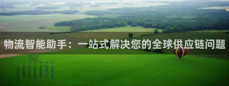 28圈人头费：物流智能助手：一站式解