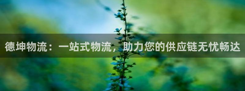 28圈旗下：德坤物流：一站式物流，助力您的供应链无忧畅达