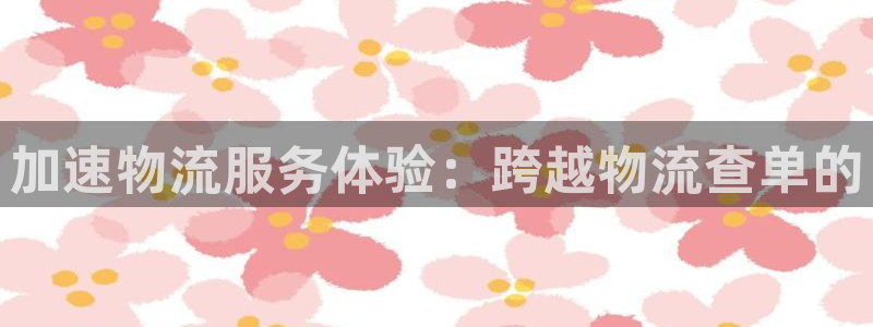 28圈防失联网址：加速物流服务体验：