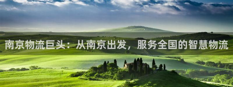 28圈官网预测：南京物流巨头：从南京