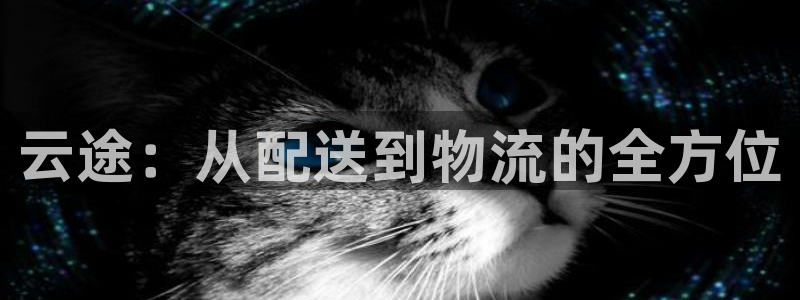 28圈app赢了500万：云途：从配