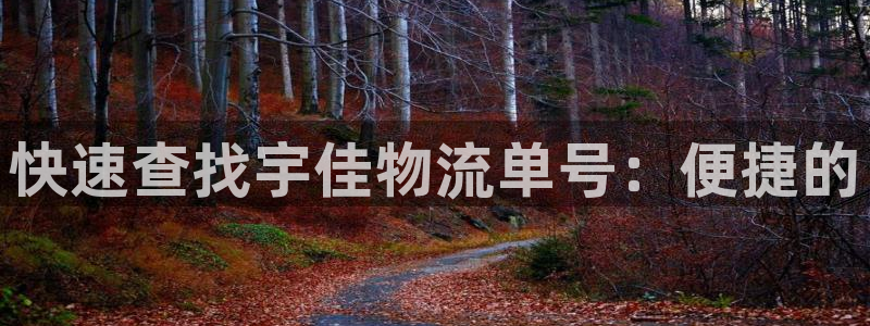 28圈官网开奖结果预测：快速查找宇佳