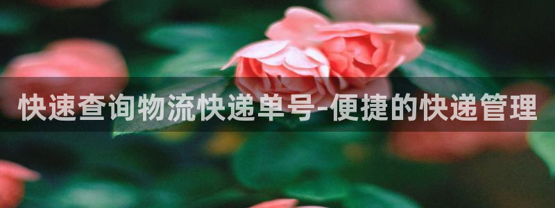28圈免费：快速查询物流快递单号-便