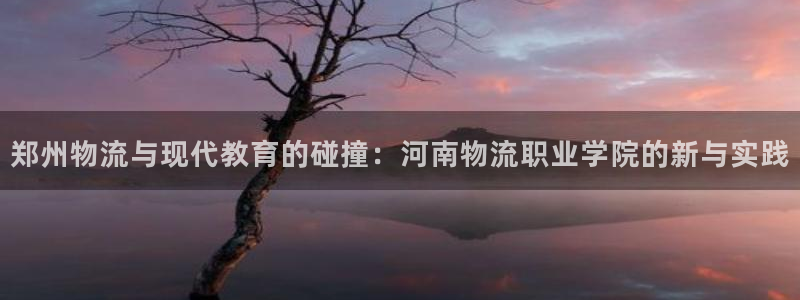 28圈官网版所有版本：郑州物流与现代